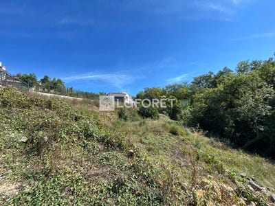 /international/fr/opio-provence-alpes-cote-d-azur-310107949397/
