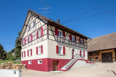 /international/fr/michelbach-le-haut-alsace-310107949261/