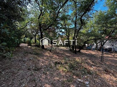 /international/fr/nans-les-pins-provence-alpes-cote-d-azur-310109326821/