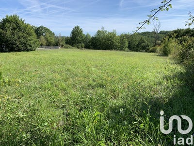 /international/fr/terrasson-lavilledieu-aquitaine-310098792467/