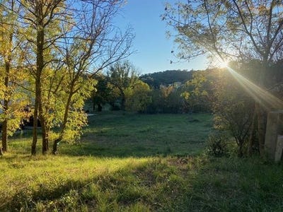 /international/fr/carcassonne-languedoc-roussillon-310105347690/