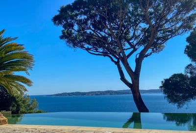 /international/fr/boulevard-des-cactus-sainte-maxime-provence-alpes-cote-d-azur-310100905127/?lang=zh-tw