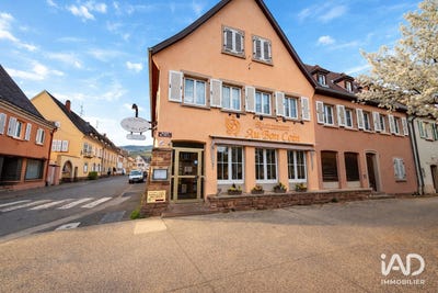 /international/fr/sigolsheim-alsace-310107216465/