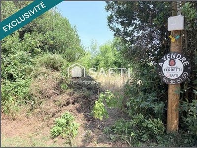 /international/fr/saint-vincent-sur-graon-pays-de-la-loire-310109127358/