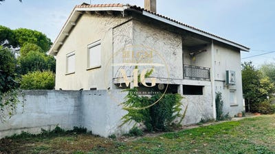 /international/fr/mauguio-languedoc-roussillon-310109095735/