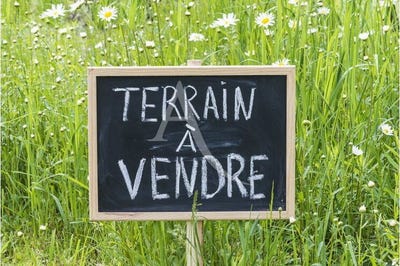 /international/fr/nantes-pays-de-la-loire-310104463527/