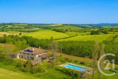 /international/fr/montgaillard-midi-pyrenees-310106382551/