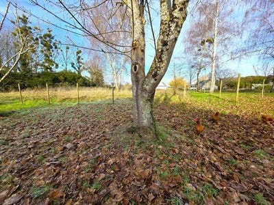 /international/fr/bauge-en-anjou-pays-de-la-loire-310104801965/