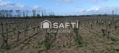 /international/fr/savigny-en-veron-centre-val-de-loire-310107446463/