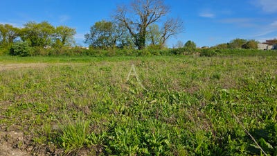 /international/fr/loire-les-marais-charente-310104466290/
