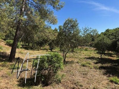 /international/fr/taradeau-provence-alpes-cote-d-azur-310101377706/