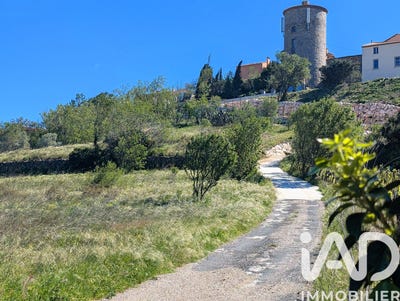 /international/fr/montner-languedoc-roussillon-310107410322/