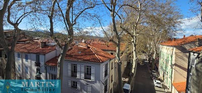 /international/fr/ceret-languedoc-roussillon-310109226850/