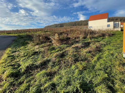 /international/fr/soultzmatt-alsace-310098840102/