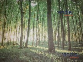 /international/fr/chateauneuf-sur-cher-centre-val-de-loire-310110419841/