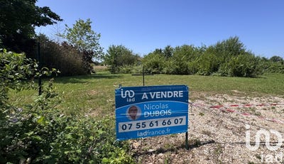 /international/fr/romenay-burgundy-310100296397/