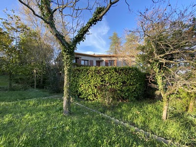 /international/fr/alaigne-languedoc-roussillon-310108291798/