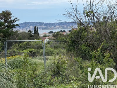 /international/fr/balaruc-les-bains-languedoc-roussillon-310107617494/