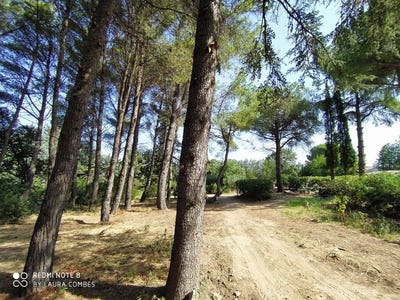 /international/fr/clermont-l-herault-languedoc-roussillon-310107792826/