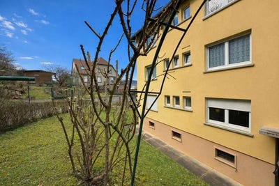/international/fr/wintzenheim-alsace-310105308537/