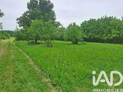 /international/fr/saint-martin-du-bois-pays-de-la-loire-310108428982/
