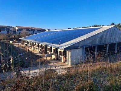 /international/fr/la-reole-aquitaine-310100141349/?lang=zh-tw