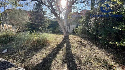 /international/fr/ceret-languedoc-roussillon-310100607698/