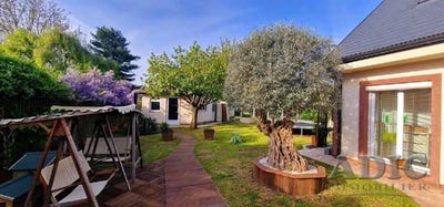 /international/fr/othis-ile-de-france-310100386773/