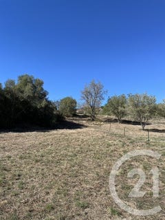 /international/fr/caunes-minervois-languedoc-roussillon-310107239421/