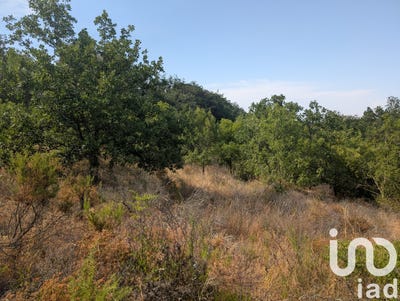 /international/fr/maureillas-las-illas-languedoc-roussillon-310102239504/