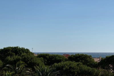 /international/fr/saint-cyprien-languedoc-roussillon-310109365165/