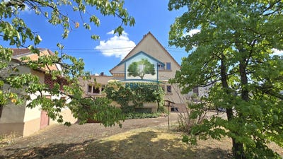 /international/fr/haguenau-alsace-310109745322/