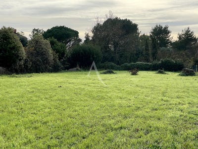 /international/fr/saint-benoist-sur-mer-pays-de-la-loire-310104468736/