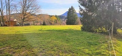 /international/fr/bourg-bruche-alsace-310108458775/