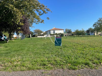 /international/fr/vouille-les-marais-pays-de-la-loire-310104471354/