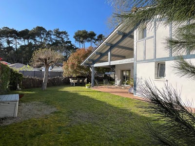 /international/fr/soorts-hossegor-aquitaine-310108249079/