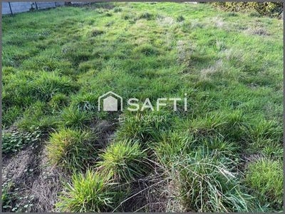 /international/fr/segre-pays-de-la-loire-310104803873/