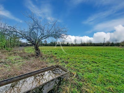 /international/fr/lys-haut-layon-pays-de-la-loire-310105533698/