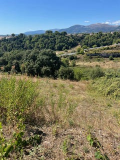 /international/fr/saint-laurent-du-var-provence-alpes-cote-d-azur-120096623957/