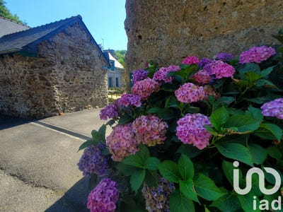 /international/fr/pommeret-brittany-310098218953/?lang=zh-tw