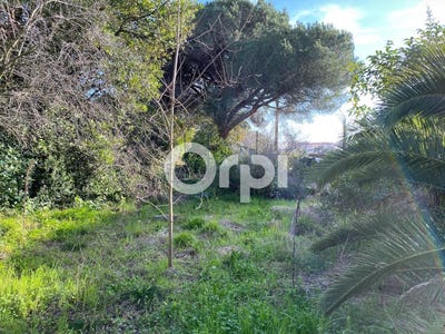/international/fr/cannes-provence-alpes-cote-d-azur-310107560422/