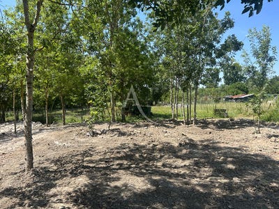 /international/fr/la-taillee-pays-de-la-loire-310108893269/