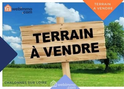 /international/fr/chalonnes-sur-loire-pays-de-la-loire-310100461287/