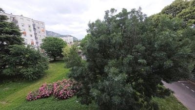 /international/fr/seyssinet-pariset-rhone-310108926247/