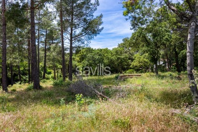/international/fr/grimaud-provence-alpes-cote-d-azur-310108270265/