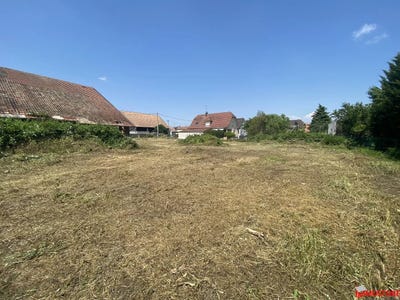 /international/fr/bartenheim-alsace-310100141716/