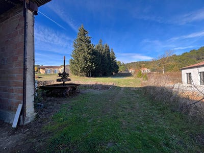 /international/fr/loupia-languedoc-roussillon-310105987372/