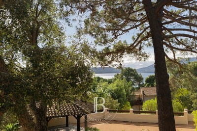 /international/fr/lecci-corsica-310107600446/