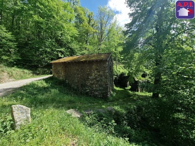 /international/fr/saurat-midi-pyrenees-310106716208/