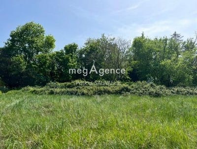 /international/fr/saint-leon-sur-l-isle-aquitaine-310107791162/